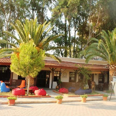 פטארה Medusa Camping מראה חיצוני תמונה