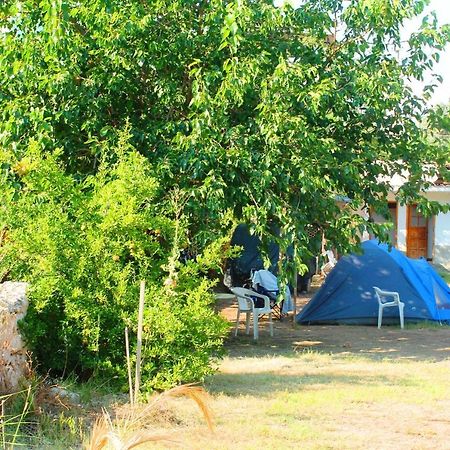 פטארה Medusa Camping מראה חיצוני תמונה