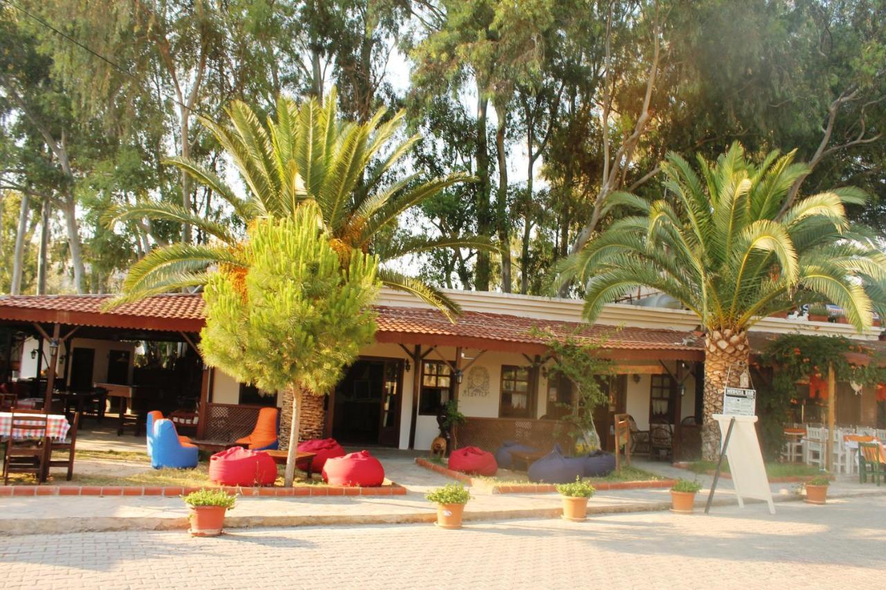 פטארה Medusa Camping מראה חיצוני תמונה