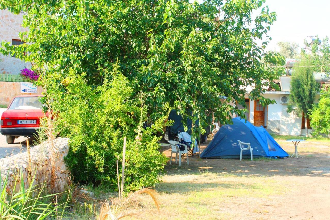 פטארה Medusa Camping מראה חיצוני תמונה