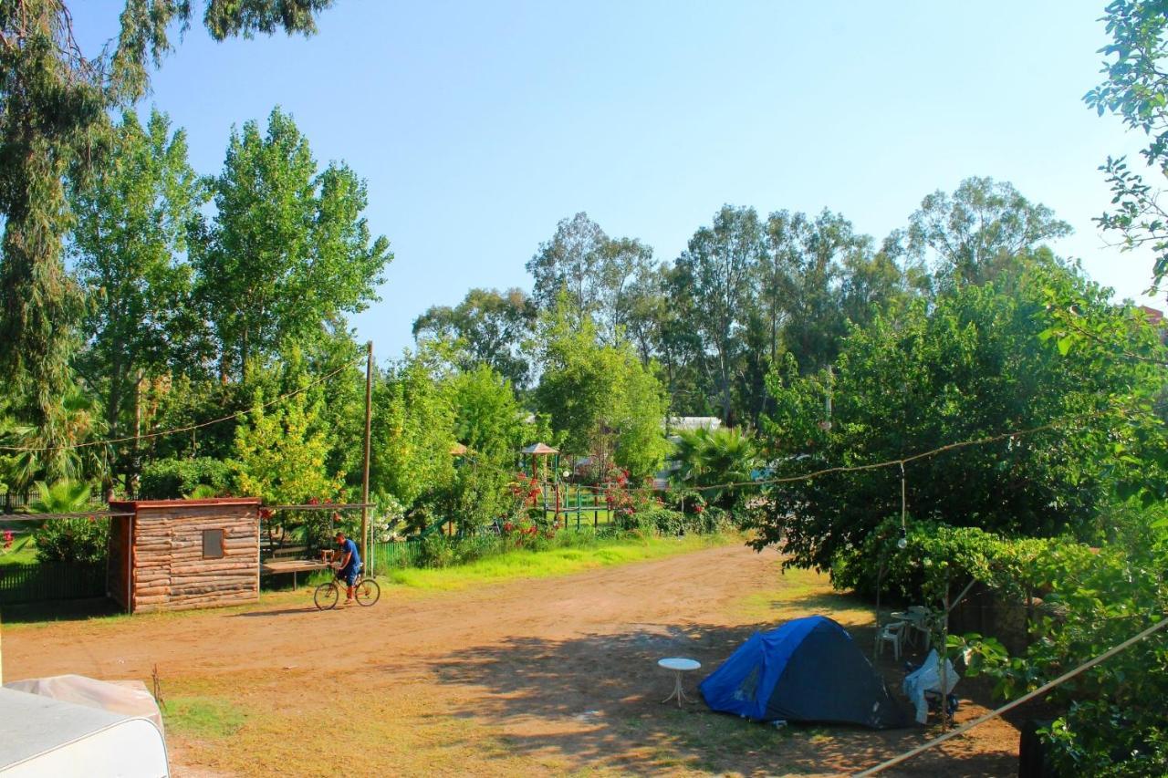 פטארה Medusa Camping מראה חיצוני תמונה