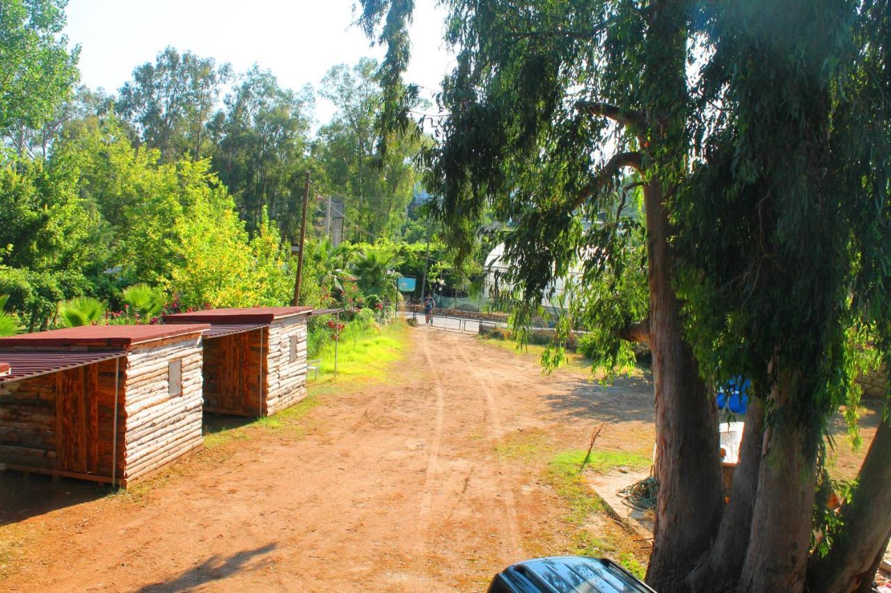 פטארה Medusa Camping מראה חיצוני תמונה