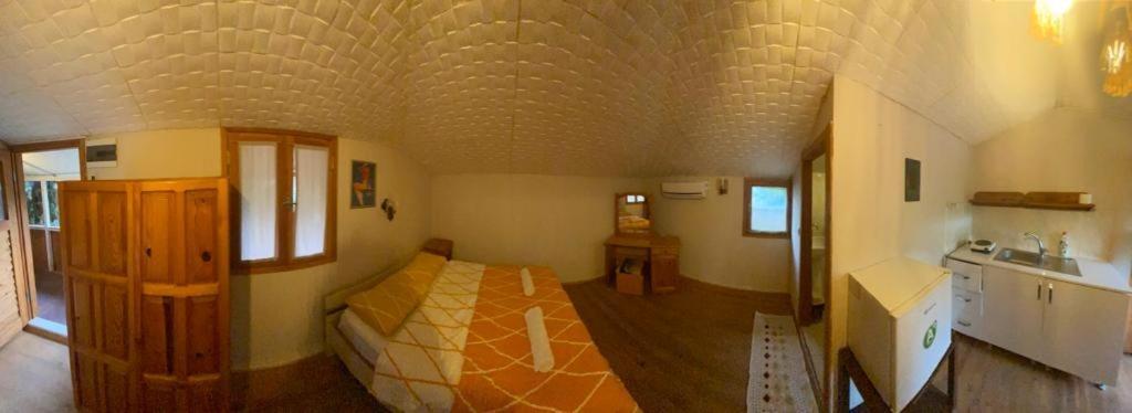 פטארה Medusa Camping מראה חיצוני תמונה